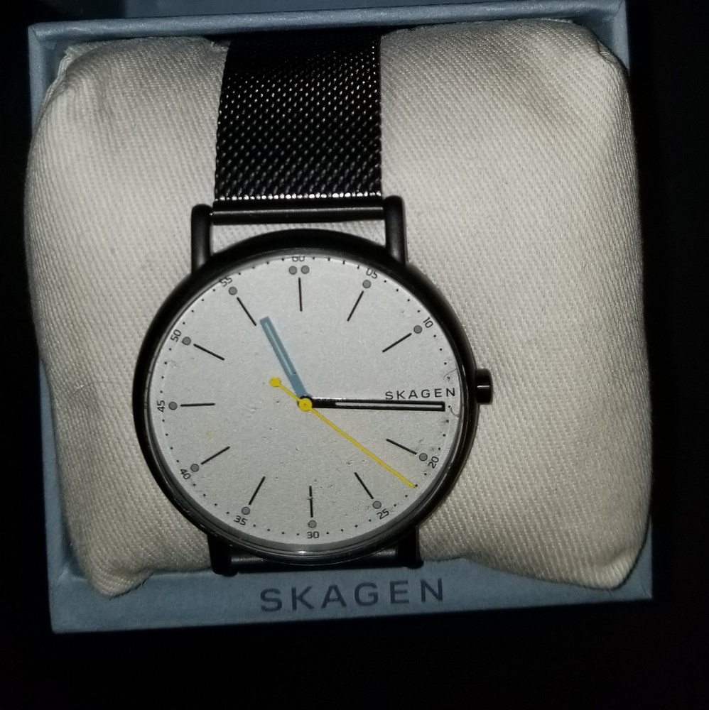 Skagen Watch